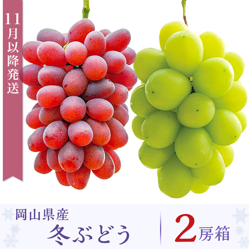 岡山県産冬ぶどう2房[2026年11月以降発送](いばら愛菜館)