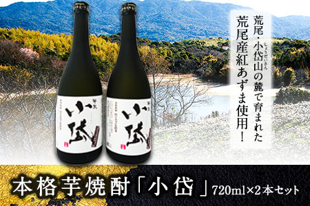 本格芋焼酎「小岱」720ml×2本セット 《30日以内に出荷予定(土日祝除く)》荒尾市 熊本県 あずま使用 芋焼酎 酒 荒尾市観光協会 st-p