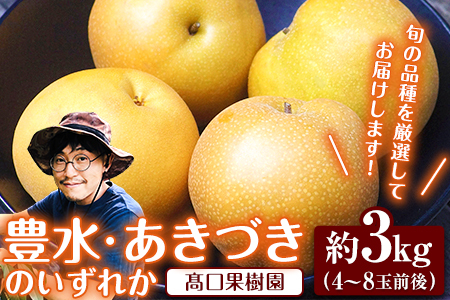[2026年 先行予約]旬の梨 あきづき 豊水 のいずれかをお届けします! 荒尾梨 約3kg (4〜8玉前後) 熊本県荒尾市産 髙口果樹園[2026年9月上旬-9月下旬頃出荷]フルーツ 果物 美味しい梨 旬の梨 ジューシー梨 フルーツ梨