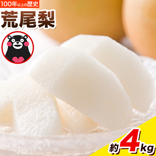 梨 荒尾梨 約4kg 旬の品種 熊本県産 なし 幸水梨 豊水梨 あきづき 新高梨 甘太 新興梨 あたご梨 秋麗【着日指定不可】《2026年8月下旬‐11月中旬頃出荷》フルーツ 果物