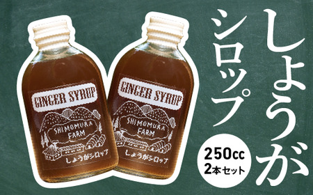 農家手作り しょうがシロップ 2本セット レシピ付き しょうが 生姜 農薬不使用 ジンジャーシロップ ジンジャーエール おすすめ 高知県 下村農園