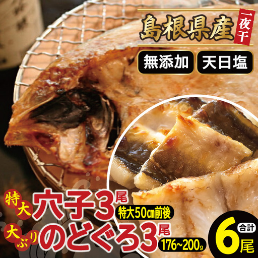 大ぶり「のどぐろ一夜干し」&特大「穴子一夜干し」[干物セット のどぐろ干物 176〜200g×3尾 穴子干物 50cm前後×3尾 のどぐろ ノドグロ 穴子 あなご アナゴ 干物 ひもの 無添加 真空パック 父の日 母の日]