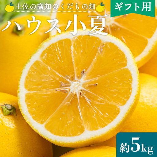 [2027年出荷分]ハウス小夏(日向夏) 5kg(ギフト用) フルーツ kd-0032