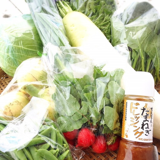 地元野菜の美味いろどり野菜セット 100サイズ箱 ドレッシング付[015D-012]