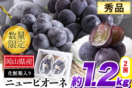 秀品 ニューピオーネ 約1.2kg