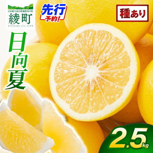 [先行受付]初春の旬「日向夏」種あり 2.5kg 果物 フルーツ くだもの 柑橘 フルーツサンド おやつ スイーツ デザート ジャム おすすめ ギフト 贈り物 贈答 プレゼント おすそ分け お返し 宮崎県 綾町 送料無料[JA綾町]