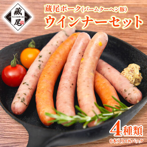 ウインナー ソーセージ 4種 計48本 KO003 │ ウインナー