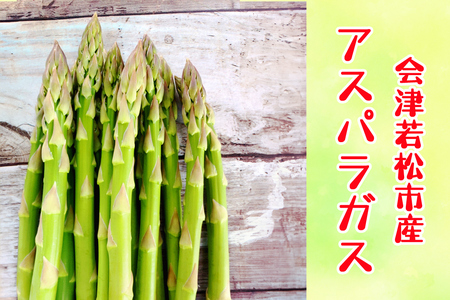 会津若松市産 アスパラガス 1kg|会津産 野菜 アスパラ あすぱら サラダ [2026年8月上旬から9月下旬発送予定] 農家 産直