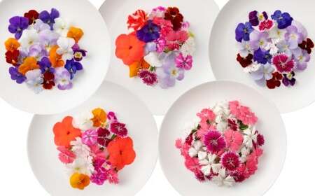 エディブルフラワー 生花MIX(20輪入り)5種5パックセット [食べられるお花 栽培期間中 農薬不使用]