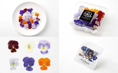 エディブルフラワービオラMIX(20輪入り)2種4パックセット[食べられるお花 栽培期間中 農薬不使用]