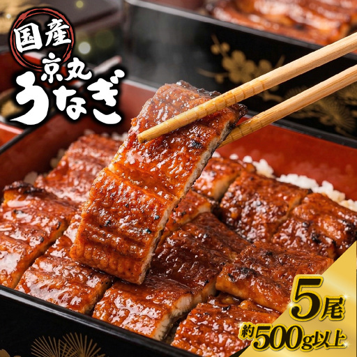 国産 うなぎ 蒲焼 5尾 沼津 うなぎ