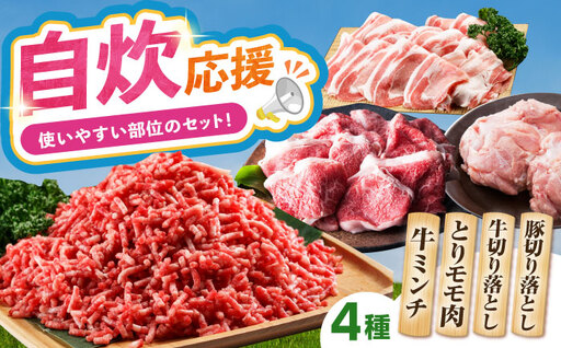 ミンチ付き！三栄のデイリーセット HAA091 ミンチ 国産 和牛 佐賀牛