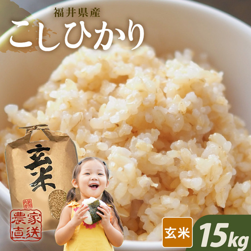 [先行予約][令和8年産・新米][玄米5kg×3袋]福井県産 コシヒカリ15kg 〜本原農園からまごころコメて〜 [2026年10月上旬以降順次発送] [C-8968_02]