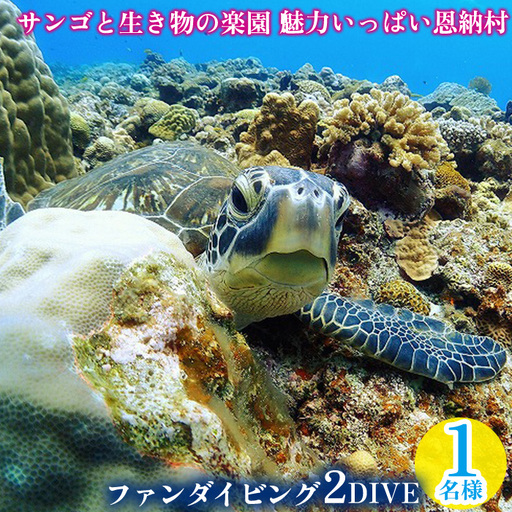 サンゴと生き物の楽園！魅力いっぱい恩納村ファンダイビング（2DIVE）1名様 