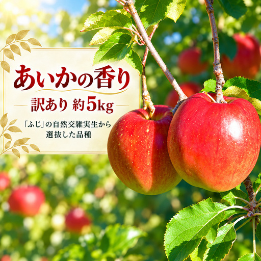 訳あり りんご 令和8年11月中旬発送 傷等訳あり・ご家庭用 甘い! 希少! 幻のりんご あいかの香り 約5キロ【016-33】