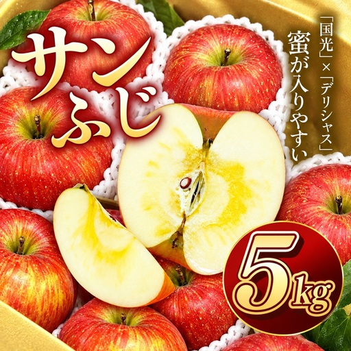 りんご サンふじ 令和8年11月下旬発送 信州のサンふじ 約5キロ！【012-19】