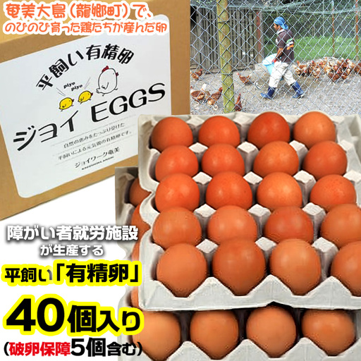 奄美大島の平飼い有精卵　40個入り 鹿児島県 奄美群島 奄美大島 龍郷町 国産 奄美産 たまご 卵 エッグ 有精卵 平飼い お取り寄せ