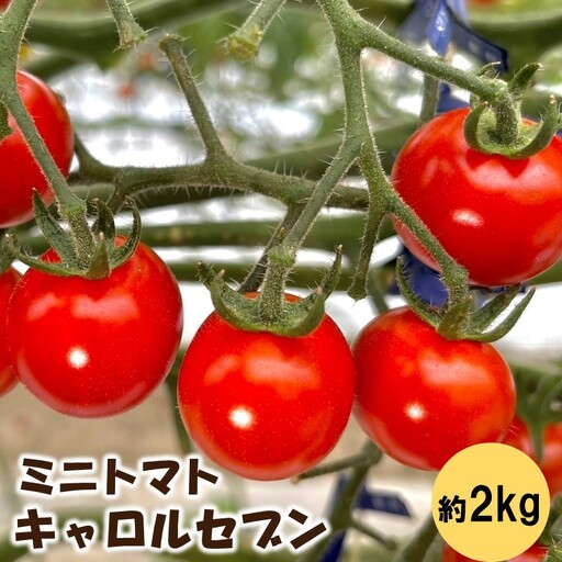 ミニトマト(キャロルセブン)2kg ≪先行予約2026年12月より順次発送予定≫ ミニトマト[0910-4]
