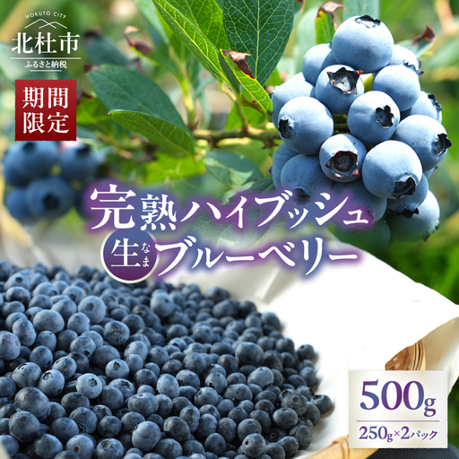 【2027年先行予約】大きく甘い、完熟ハイブッシュブルーベリー 500g（250g×2パック） [h186]