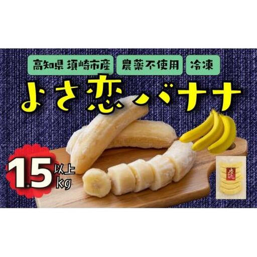 冷凍バナナ 1.5kg以上 約800g×2 国産 高知県産