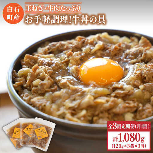 【3回定期便】牛丼の具（120g×3袋入り） / 牛丼 [IAZ006]