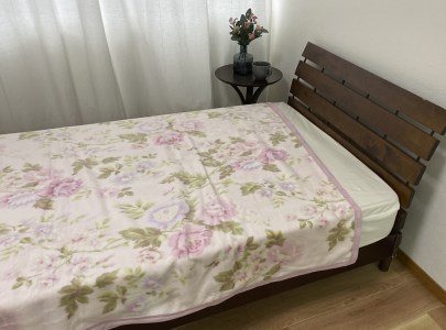 泉大津産 綿マイヤー毛布 シングル 140×200cm 1枚 S－81722PI [2263]