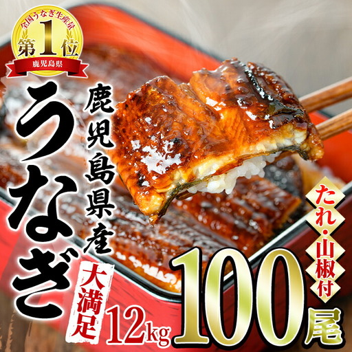 [大満足]東串良町のうなぎ蒲焼(無頭)(120g×100尾・計約12000g・タレ、山椒付)うなぎ 高級 ウナギ 鰻 国産 蒲焼 蒲焼き たれ 鹿児島 ふるさと 人気[アクアおおすみ][4504306a]