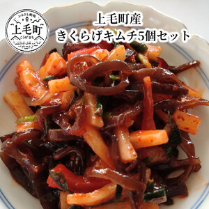 上毛町産　きくらげキムチ5個セット_T06404
