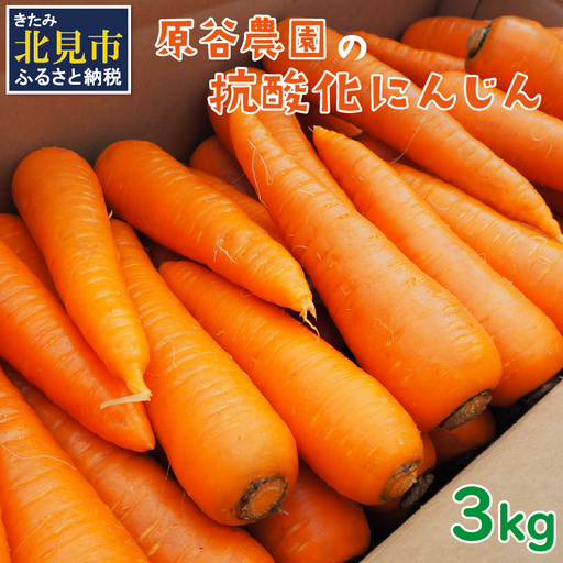 [予約:2026年8月下旬から順次発送]原谷農園の抗酸化にんじん 3kg ( 野菜 人参 農園 期間限定 ふるさと納税 )[058-0006-2026]