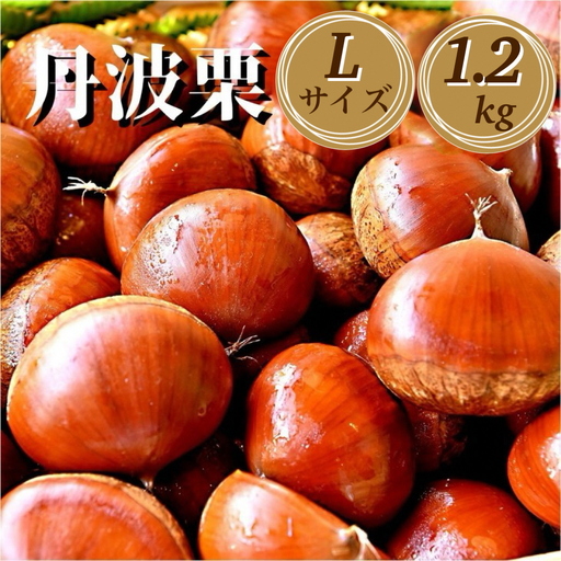 丹波栗 Lサイズ 1.2kg ＜丹波四季菜料理 宮本屋＞栗
