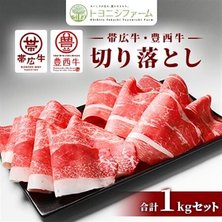 帯広牛 豊西牛 切り落とし 食べ比べ セット 計1kg (帯広牛2袋、豊西牛3袋)_肉  牛肉 _【配送不可地域：離島】【1309249】