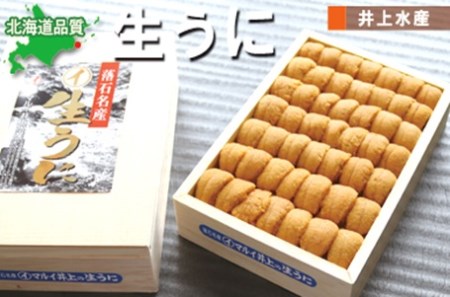 ムラサキウニ250g×1折 C-71002