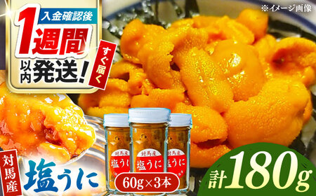 [1週間以内発送]対馬産 塩うに 60g×3本 [WAA001] 塩ウニ 雲丹 紫ウニ スピード発送 最速発送 最短発送