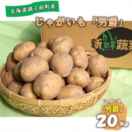 【先行受付　9月中旬以降発送】佐藤農場のじゃがいも「男爵」20kg【配送不可地域：離島・沖縄県】【1097715】