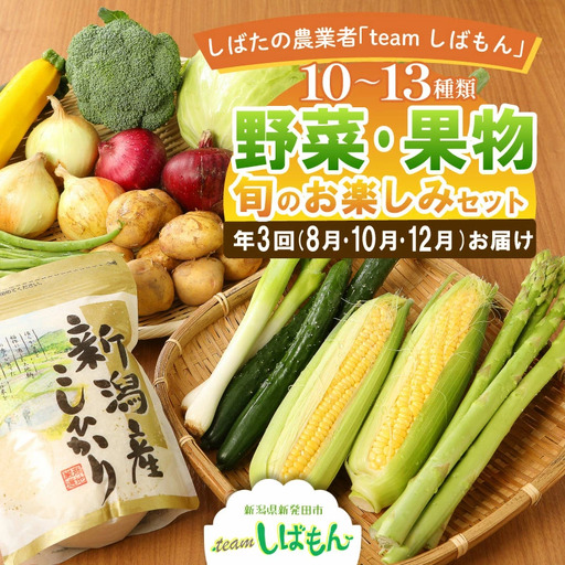 野菜 10〜3品目野菜セット 年3回 定期便 野菜 野菜 野菜 野菜 野菜 C17_01