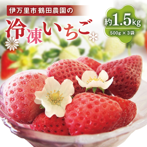 【数量限定】伊万里産急速冷凍いちご1.5kg　～鶴田農園～ 046-B384