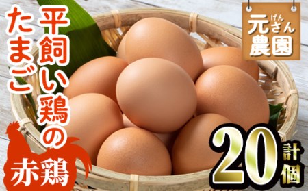 元さん農園 平飼い赤鶏のたまご (計20個・10個×2P) 元さん農園 卵 玉子 卵かけご飯 玉子焼き 平飼い 鶏 鶏卵 養鶏場直送 朝採れ 新鮮 大分県 佐伯市 [GE001][ (株)海九]