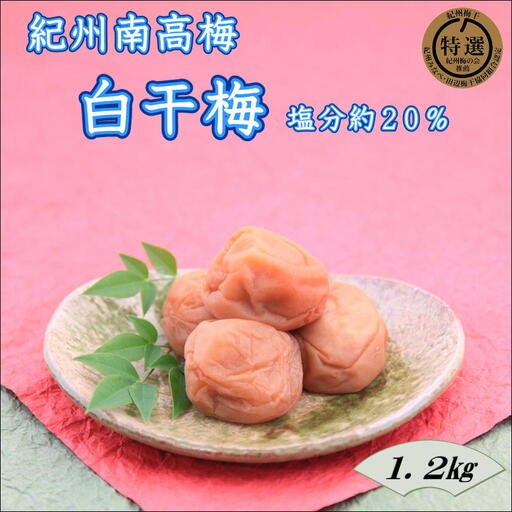 【家庭用】紀州南高梅 白干梅 1.2kg【0917-4】