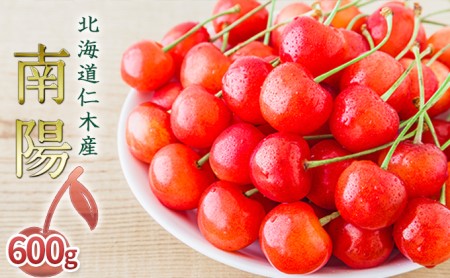 さくらんぼ 600g 南陽 サクランボ