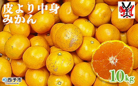 愛媛県明浜産「皮より中身」みかん（10kg） ATI0013