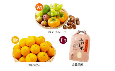 C3 [3回定期便]季節の逸品 秋 旬 フルーツ 果実 くだもの 果物 新米 特産品