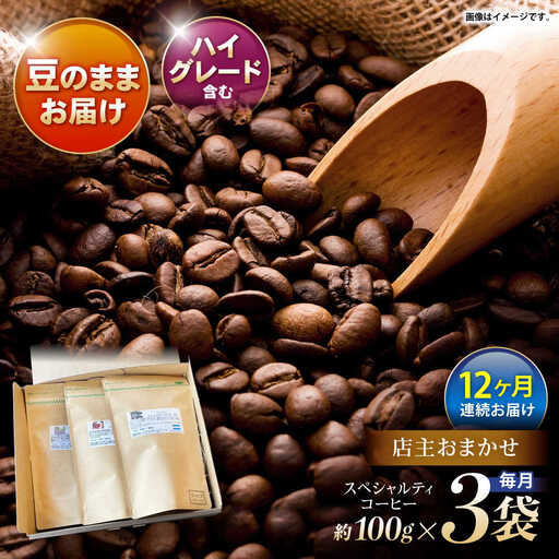 【12回定期便】自家焙煎ハイグレードコーヒーを含むおまかせセット(豆のまま) / ハイグレードコーヒー ブレンド コーヒー 豆 / 諫早市 / R and R coffee labo [AHCJ048]