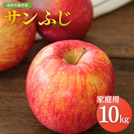 【2026年先行予約】りんご サンふじ 家庭用 訳あり 約10kg ＜中島農園＞|りんご