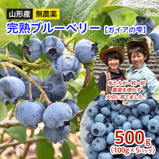 山形産 無農薬 完熟ブルーベリー[ガイアの雫]500g(100g×5パック)[令和8年産先行予約]FS24-500 くだもの 果物 フルーツ 山形 山形県 山形市 2026年産