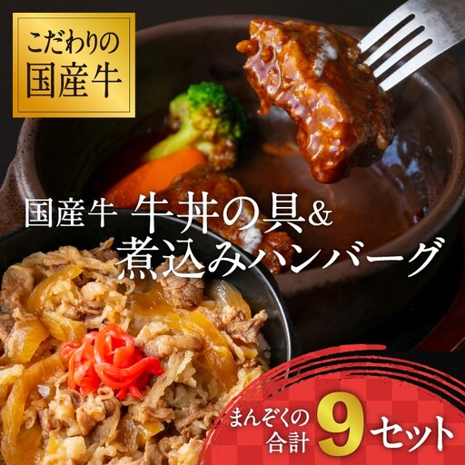 【30営業日以内配送】国産牛 牛丼の具&煮込みハンバーグ 満足の9個セット 《こだわりソースと玉ねぎが旨い簡単惣菜》 湯煎で温めるだけ　014-D-YL008