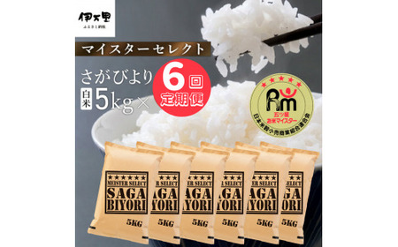 【定期便】さがびより【白米】５kg×６回 B700