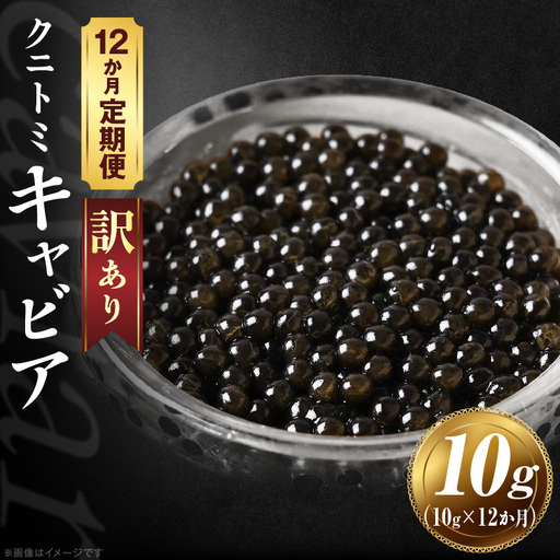 【訳あり】12か月定期便 クニトミキャビア 10g キャビア 国産 国産キャビア 高級 宮崎県産 珍味 おつまみ 酒の肴 家飲み 冷凍 訳あり お取り寄せ グルメ パーティー ワイン シャンパン 記念日 ご褒美 おもてなし 魚卵 宮崎県 国富町_kn068-t003