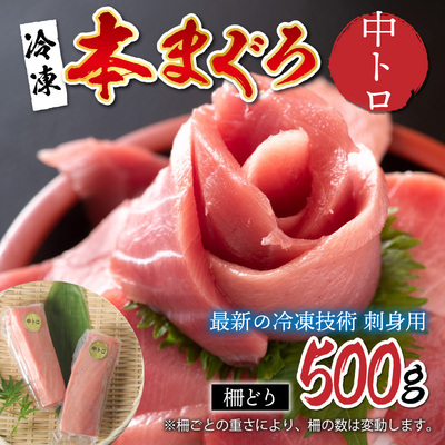 【刺身用】本マグロ　中トロ　500g（柵どり）【最新の冷凍技術】　海鮮 魚