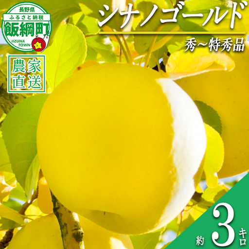 りんご シナノゴールド 秀 ～ 特秀 3kg 丸山りんご園 沖縄県への配送不可 2026年11月上旬頃から2026年12月上旬頃まで順次発送予定 令和8年度収穫分 信州 果物 フルーツ リンゴ 林檎 長野 予約 農家直送 長野県 飯綱町 [1002]
