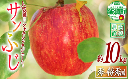 りんご サンふじ 秀 〜 特秀 10kg 渡辺農園 2026年12月上旬頃から2027年1月中旬頃まで順次発送予定 令和8年度収穫分 エコファーマー認定 減農薬栽培 長野県 飯綱町 [0170]
